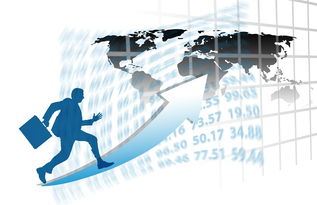 APP下载 LY Sports-中国篮球职业联赛赛事运营管理优化研究，中国篮球竞赛体系