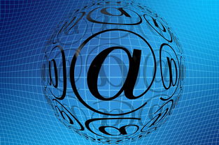 乐鱼体育(中国)官方网站-中国篮球职业联赛青训体系创新发展模式分析，中国青年篮球队