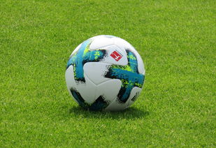 乐鱼体育下载-德甲防守战术转变对定位球防守效果的影响分析，德国足球防守大师