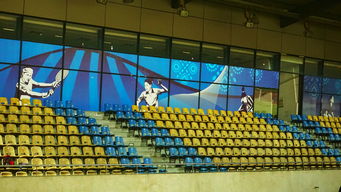 乐鱼在线-高校体育赛事安全管理体系构建，学校体育赛事体系