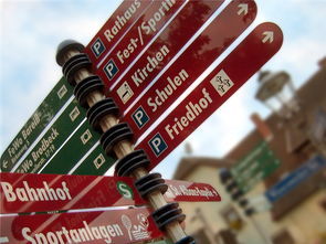 leyu-高校运动队选拔机制公平性研究，高校运动队选拔机制公平性研究报告